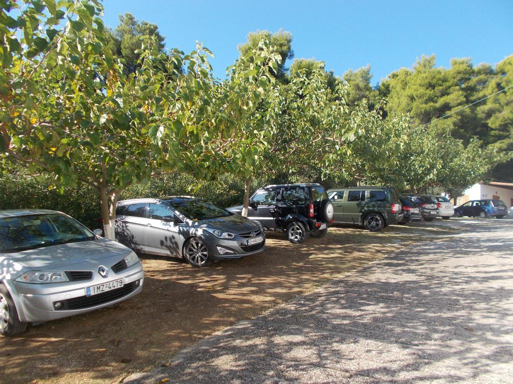 Appartamento Teozenia